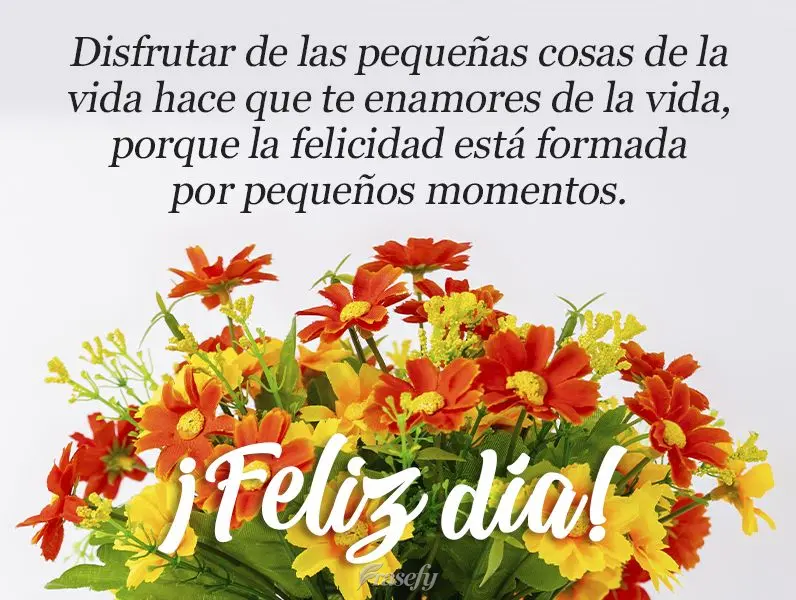 Amar as pequenas coisas da vida faz você amá-las por completo, porque felicidade é feita de pequenos momentos!
  Bom dia!