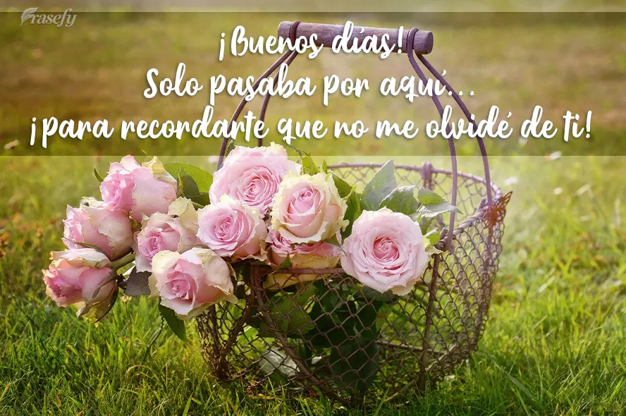 Passando aqui  para te lembrar que eu não esqueci de você! Bom Dia!