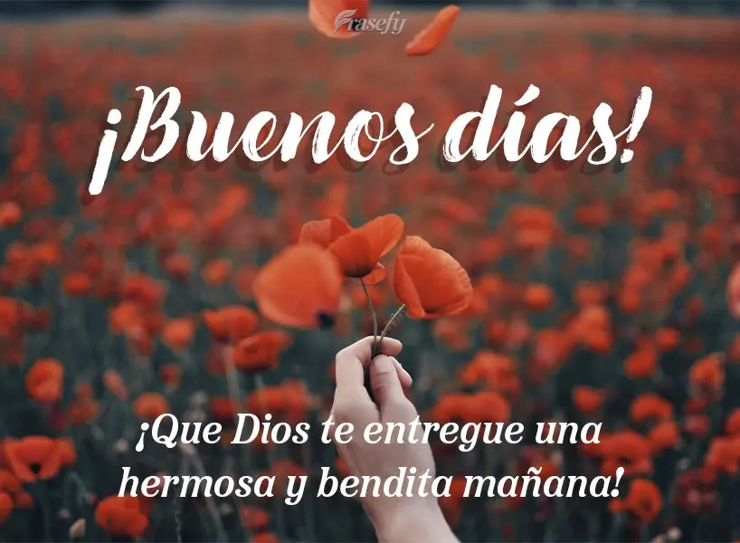 Que Deus entregue uma manhã linda e abençoada para você! Bom dia!