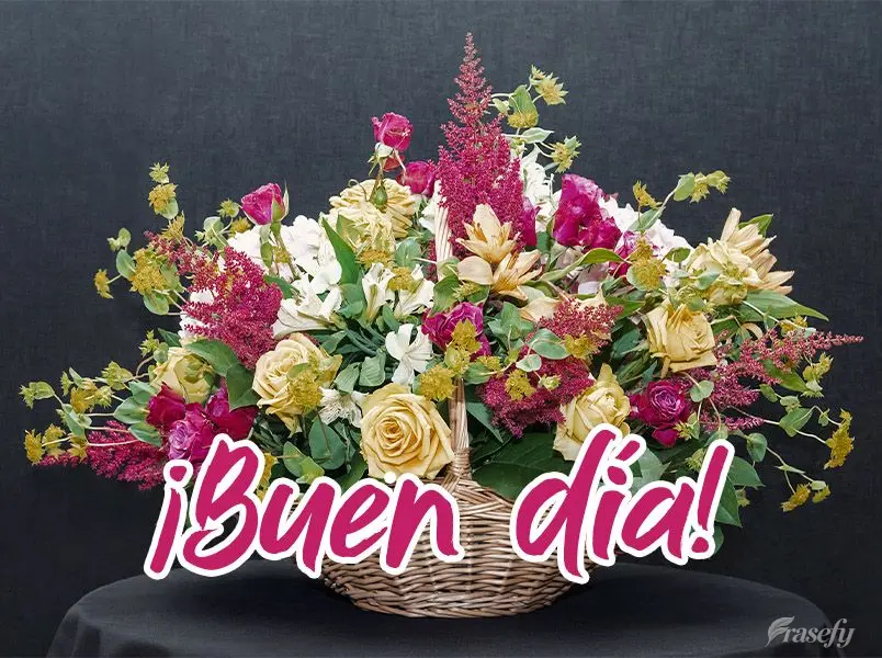 ¡Buen día!