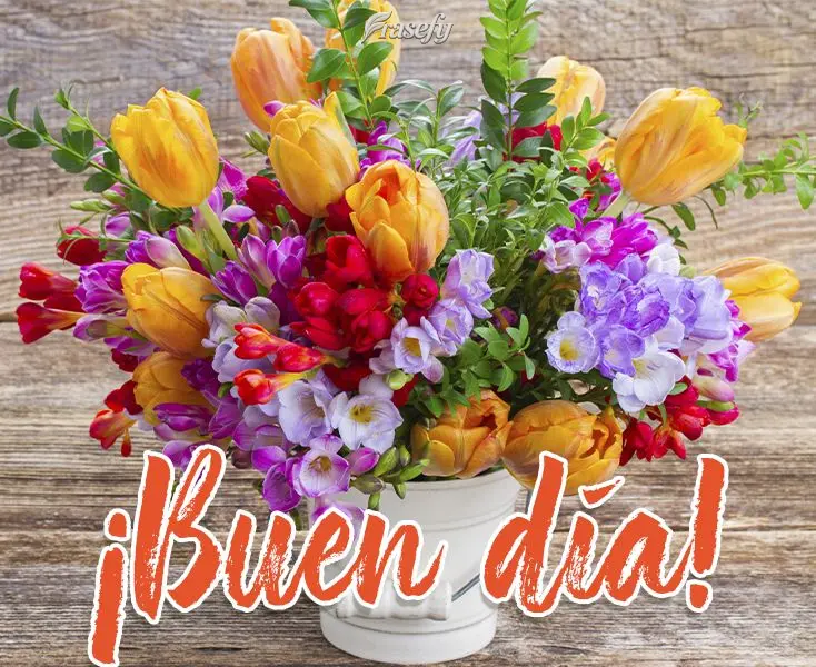 ¡Buen día!