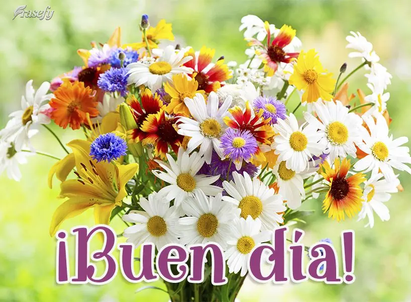 ¡Buen día!