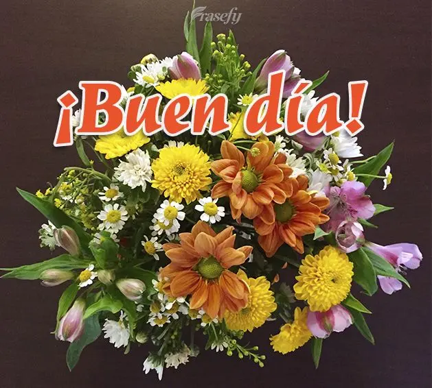 ¡Buen día!