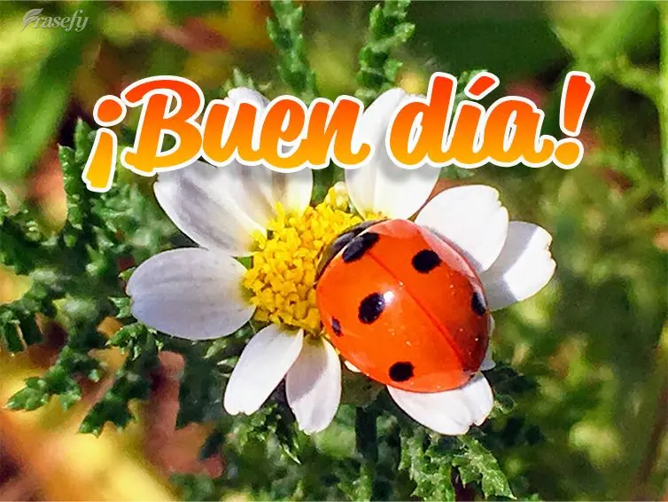 ¡Buen día!