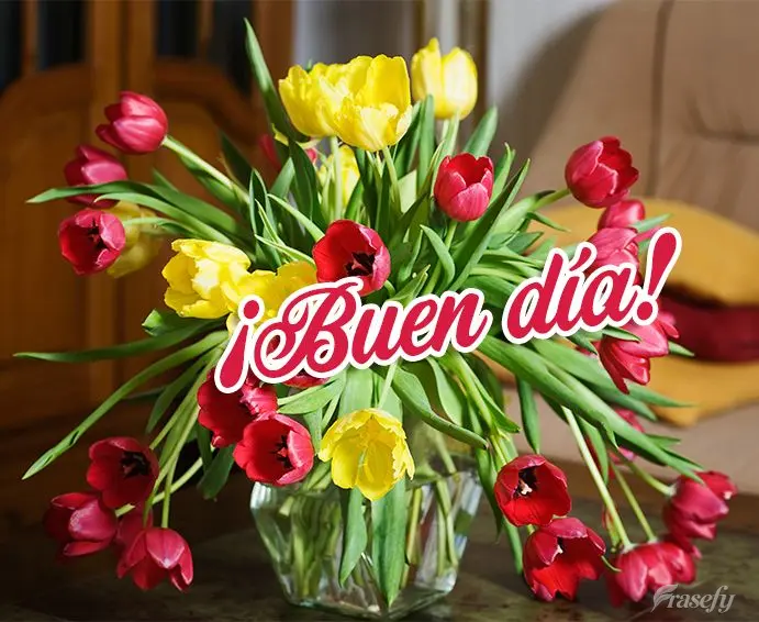¡Buen día!