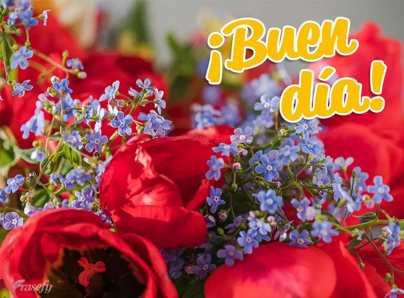 ¡Buen día!