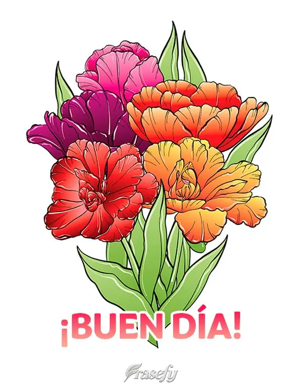¡Buen día!