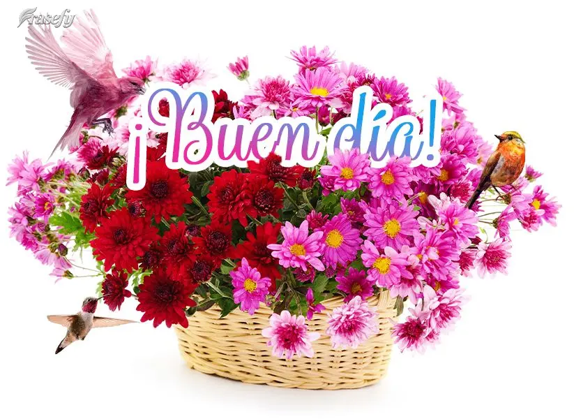¡Buen día!