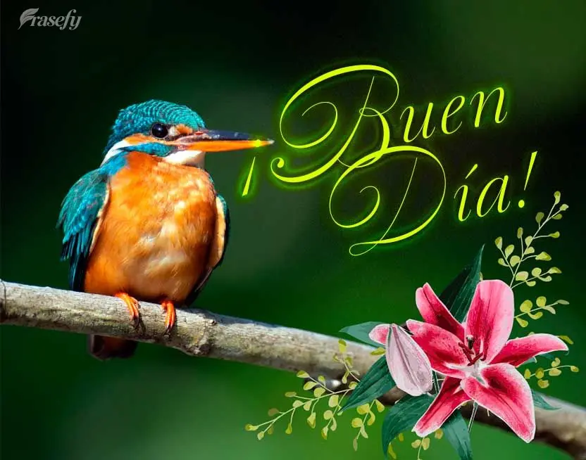 ¡Buen día!