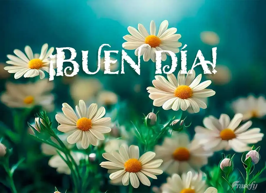 ¡Buen día!