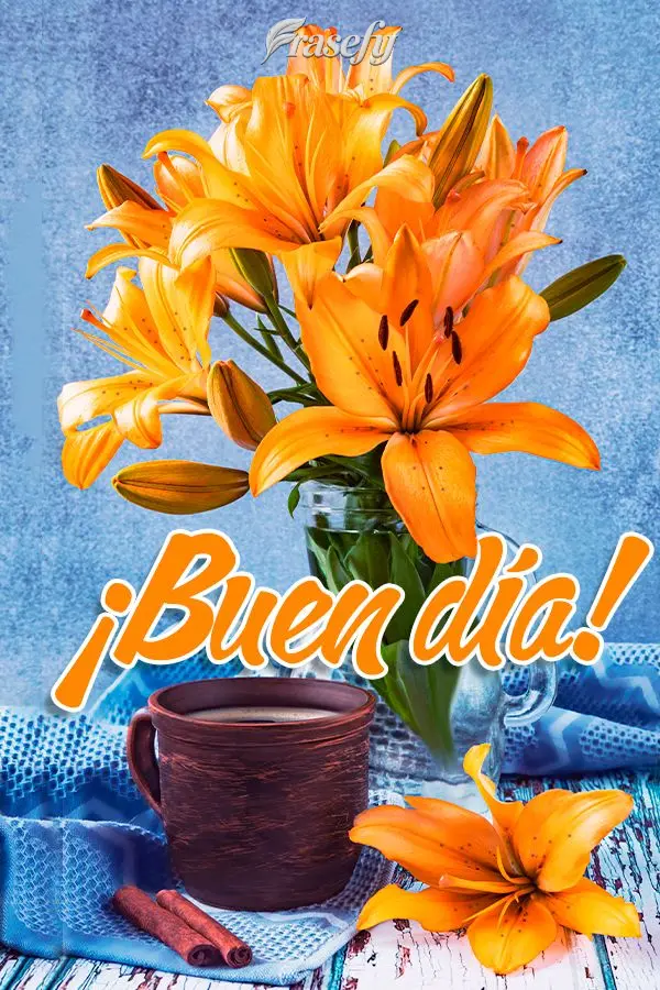 ¡Buen día!