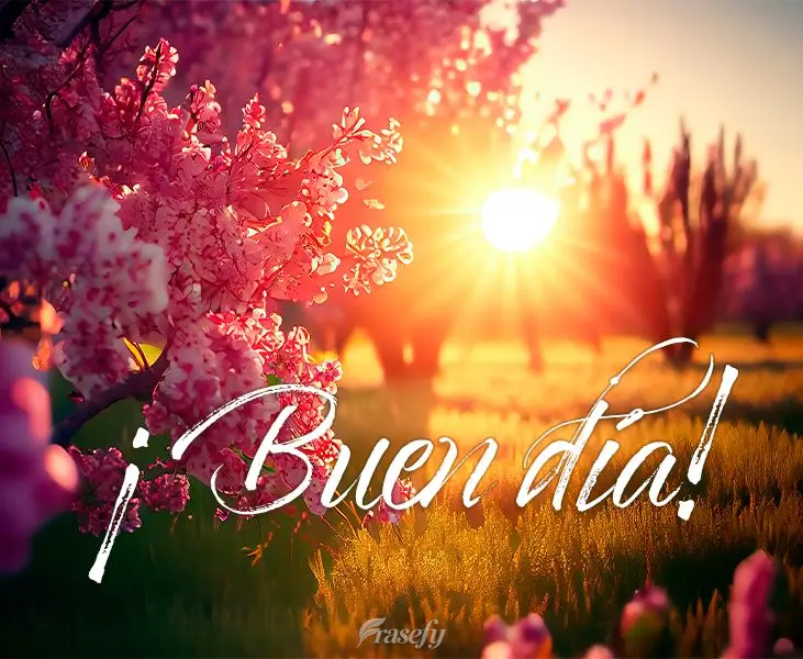 ¡Buen día!