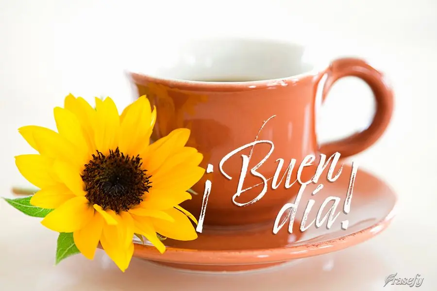 ¡Buen día!