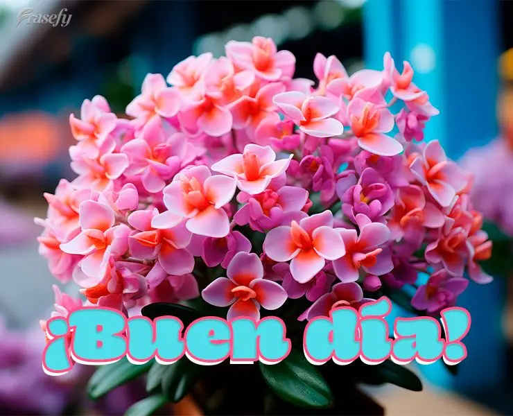 ¡Buen día!