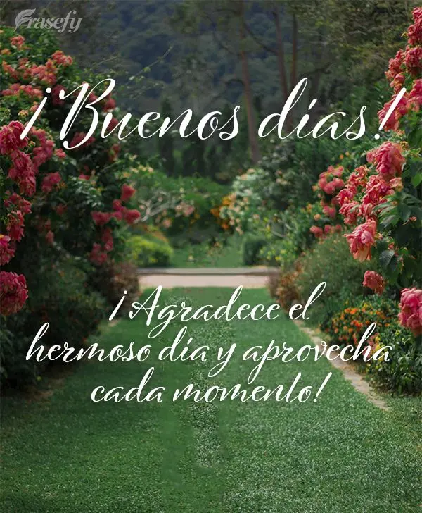 ¡Agradece el hermoso día y aprovecha cada momento! ¡Buenos días!
