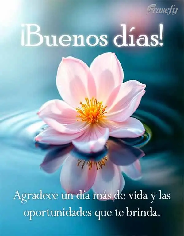 Agradece un día más de vida y las oportunidades que te brinda. ¡Buenos días!