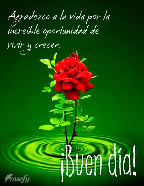 Agradezco a la vida por la increíble oportunidad de vivir y crecer. ¡Buen día!