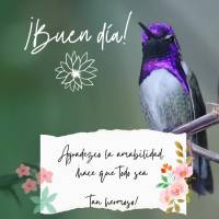 Agradezco la amabilidad, ¡hace que todo sea tan hermoso! ¡Buen día!