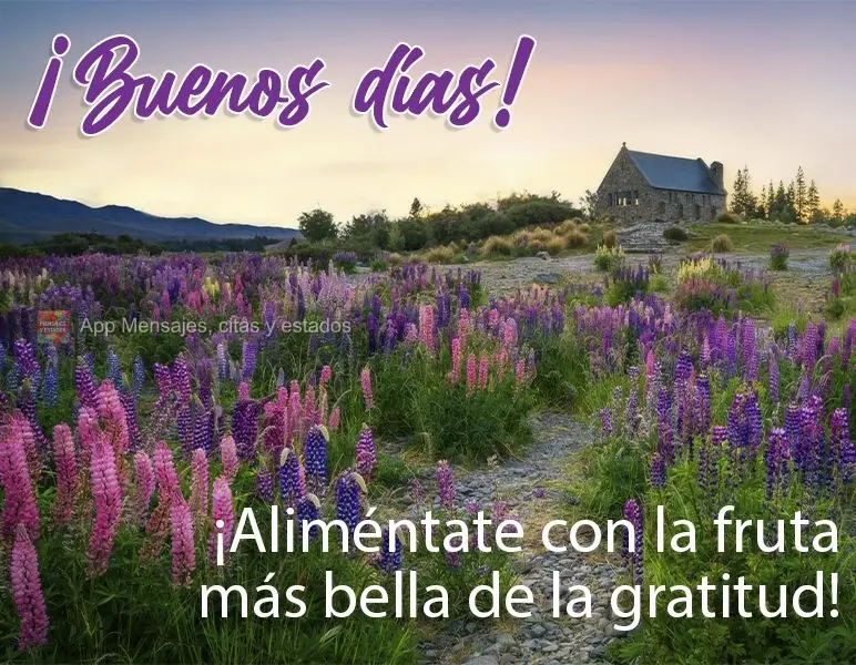 ¡Aliméntate con la fruta más bella de la gratitud! ¡Buenos días!