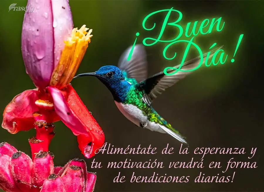 ¡Aliméntate de la esperanza y tu motivación vendrá en forma de bendiciones diarias! ¡Buen día!
