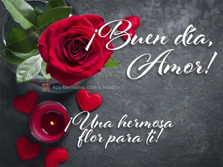 ¡Una hermosa flor para ti! ¡Buen día, amor!