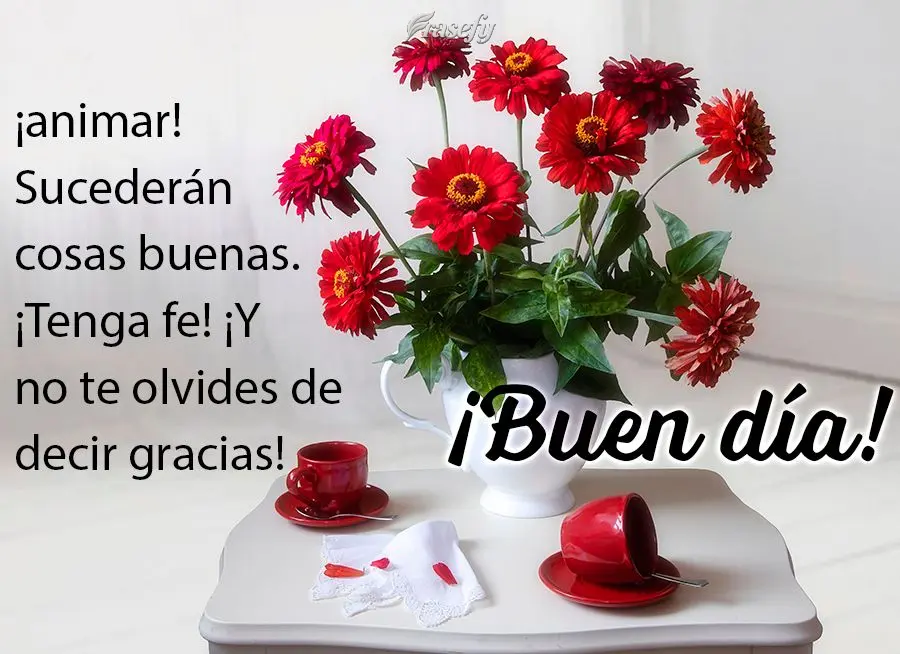 ¡animar! Sucederán cosas buenas. ¡Tenga fe! ¡Y no te olvides de decir gracias! ¡Buen día!