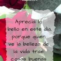 Aprecia lo bello en este día, porque quien ve la belleza de la vida trae cosas buenas al corazón. ¡Buen día!