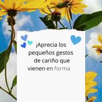 ¡Aprecia los pequeños gestos de cariño que vienen en forma de dulces palabras, abrazos fuertes y hermosos mensajes! ¡Buen día!
