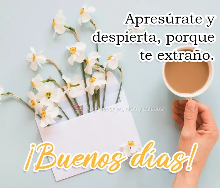Apresúrate y despierta, porque te extraño. ¡Buenos días!