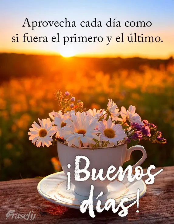 Aprovecha cada día como si fuera el primero y el último. ¡Buenos días!
