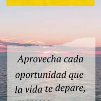 Aprovecha cada oportunidad que la vida te depare, ¡mereces ser feliz! ¡Buen día!