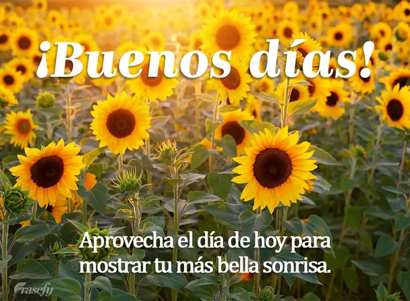Aprovecha el día de hoy para mostrar tu más bella sonrisa. ¡Buenos días!