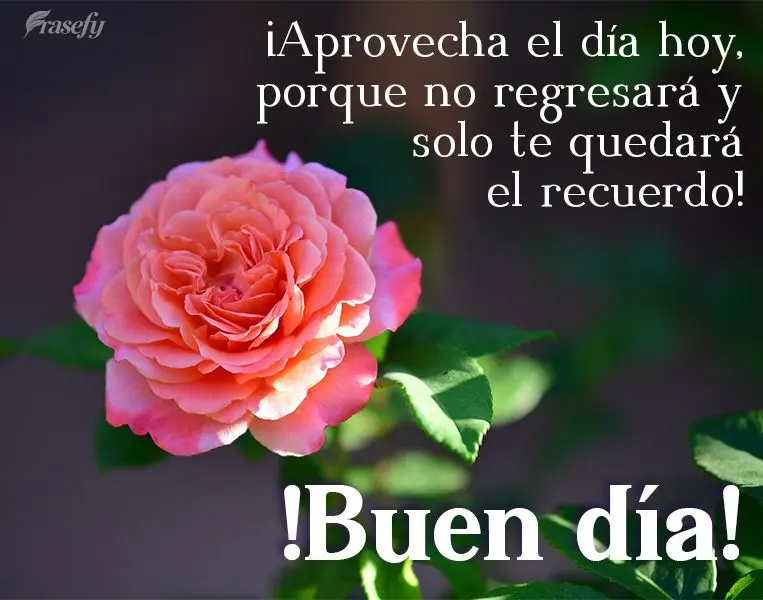 ¡Aprovecha el día hoy, porque no regresará y solo te quedará el recuerdo! ¡Buen día!