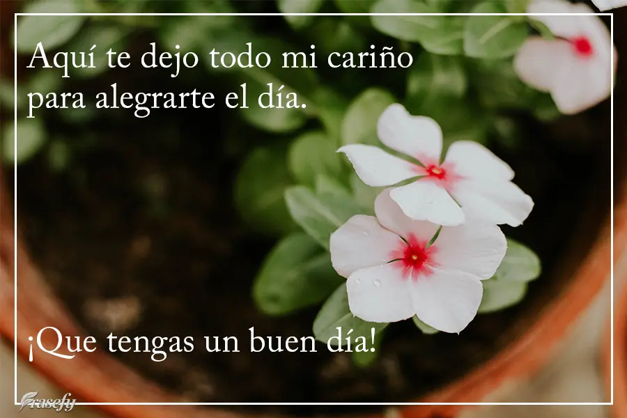 Aquí te dejo todo mi cariño para alegrarte el día. ¡Que tengas un buen día!