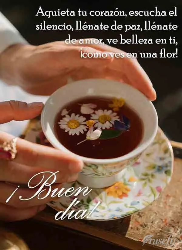 Aquieta tu corazón, escucha el silencio, llénate de paz, llénate de amor, ve belleza en ti, ¡como ves en una flor! ¡Buen día!