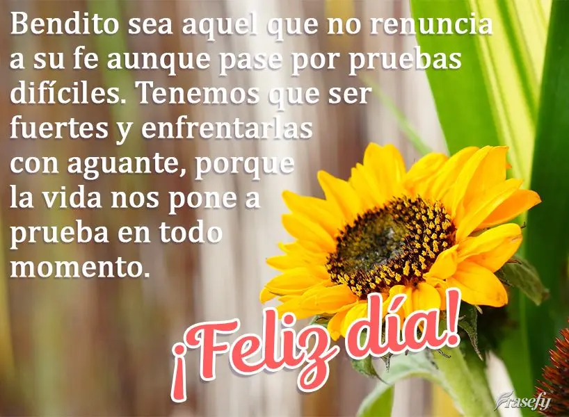 Bendito sea aquel que no renuncia a su fe aunque pase por pruebas difíciles. Tenemos que ser fuertes y enfrentarlas con aguante, porque la vida nos pone...