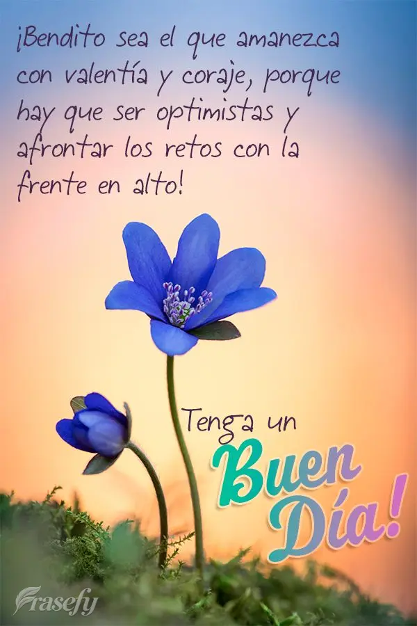 ¡Bendito sea el que amanezca con valentía y coraje, porque hay que ser optimistas y afrontar los retos con la frente en alto! ¡Tenga un buen día!
