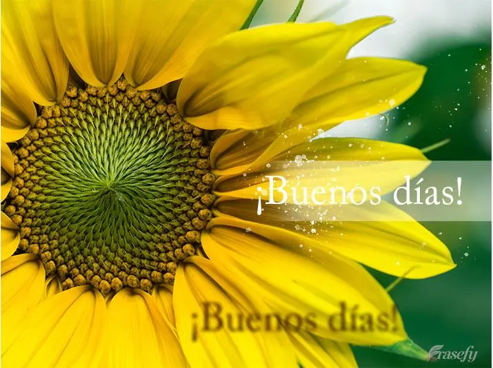 ¡Buenos días!