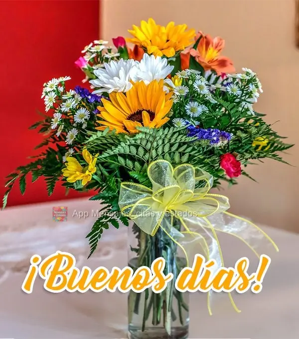 ¡Buenos días!