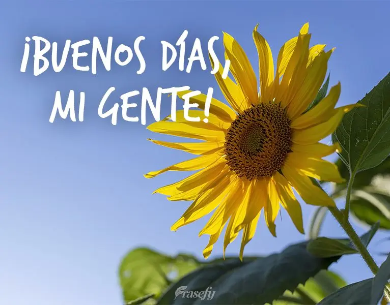 ¡Buenos días, mi gente!