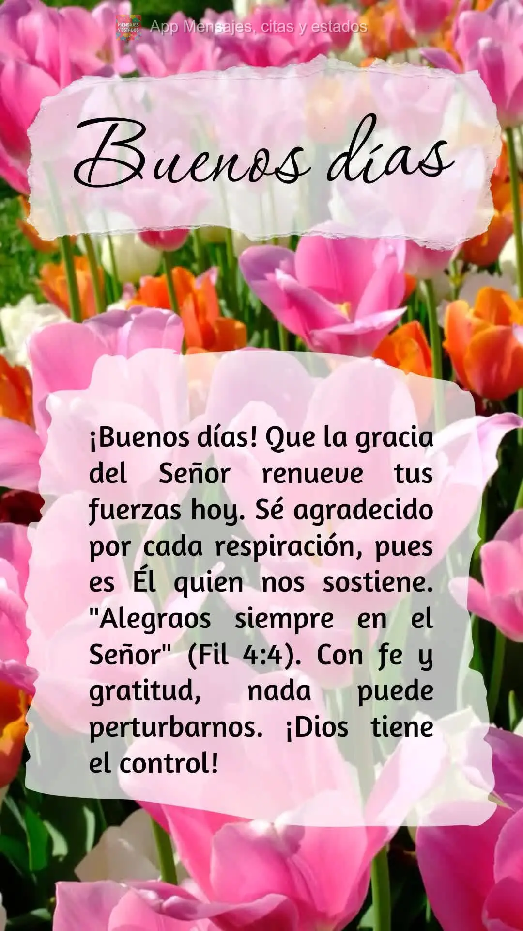 ¡Buenos días! Que la gracia del Señor renueve tus fuerzas hoy. Sé agradecido por cada respiración, pues es Él quien nos sostiene. "Alegraos siempre...