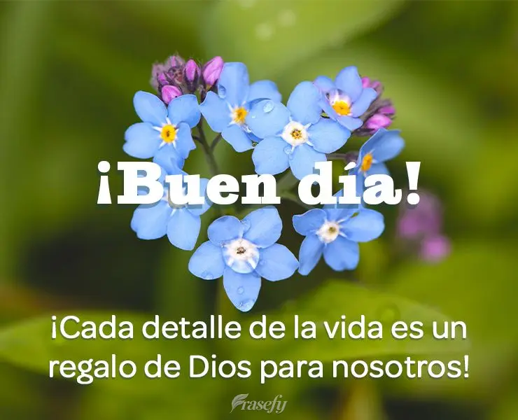 ¡Cada detalle de la vida es un regalo de Dios para nosotros! ¡Buen día!