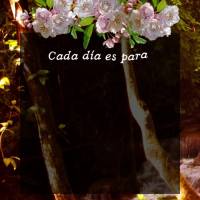 Cada día es para dar gracias por las cosas que recibiremos, que vengan nuevas bendiciones en el nombre del Señor, y que reciba con cariño mis alabanza...