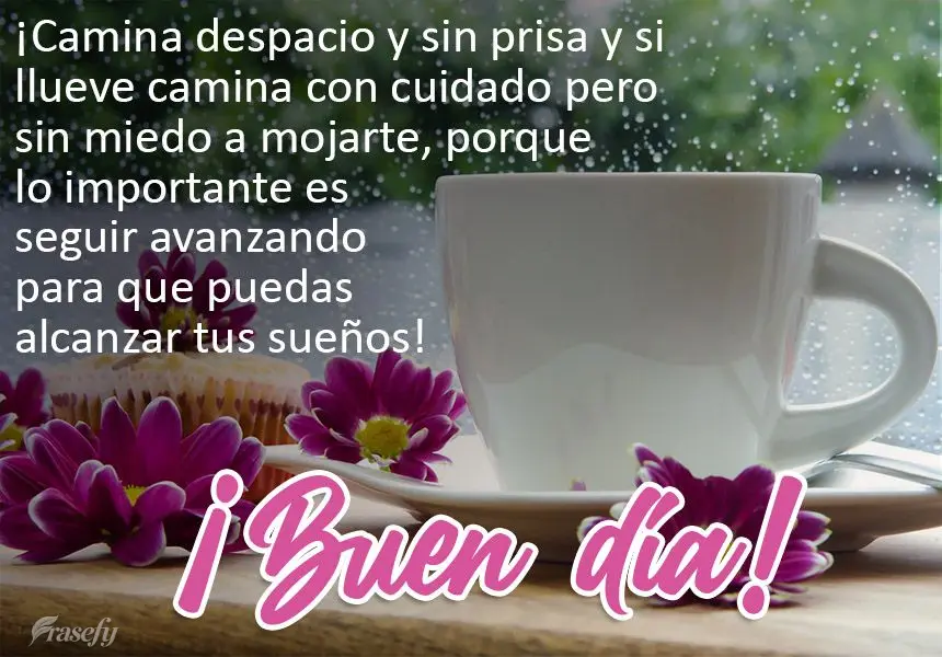 ¡Camina despacio y sin prisa y si llueve camina con cuidado pero sin miedo a mojarte, porque lo importante es seguir avanzando para que puedas alcanzar ...