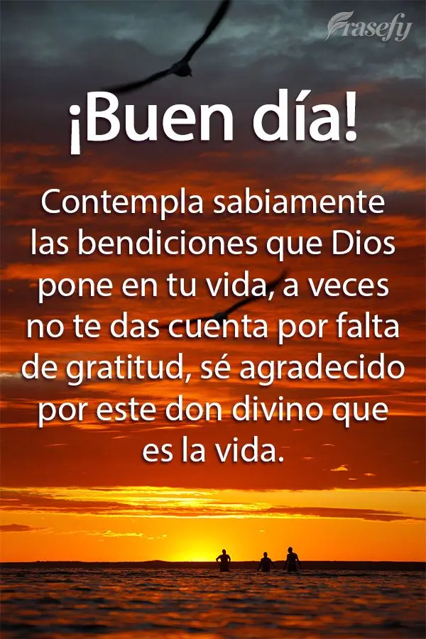 Contempla sabiamente las bendiciones que Dios pone en tu vida, a veces no te das cuenta por falta de gratitud, sé agradecido por este don divino que es ...