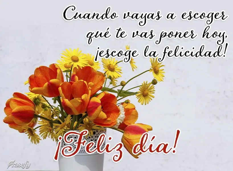 Cuando vayas a escoger qué te vas poner hoy, ¡escoge la felicidad! ¡Feliz día!