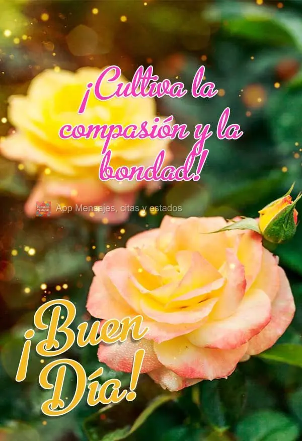 ¡Cultiva la compasión y la bondad! ¡Buen día!