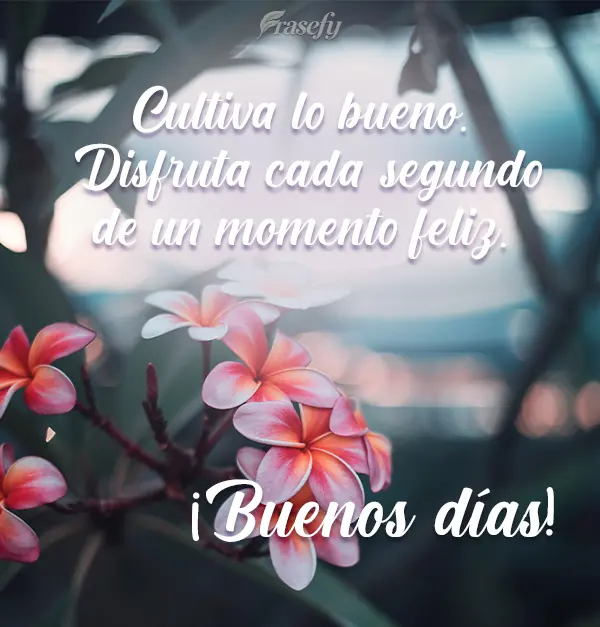 Cultiva lo bueno. Disfruta cada segundo de un momento feliz. ¡Buenos días!