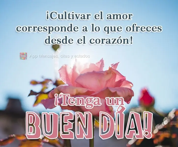 ¡Cultivar el amor corresponde a lo que ofreces desde el corazón! ¡Tenga un buen día!