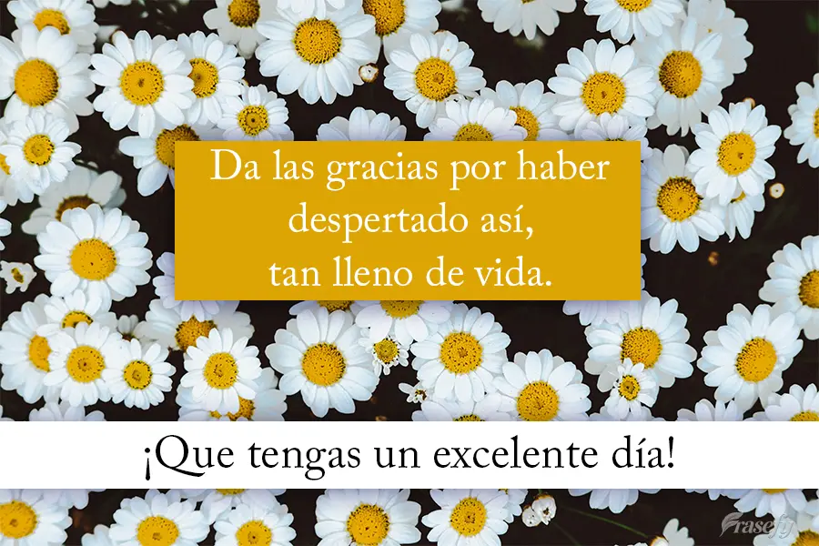 Da las gracias por haber despertado así, tan lleno de vida. ¡Que tengas un excelente día!